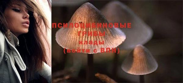 каннабис Дмитровск