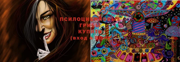 прущий лед Дмитров