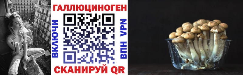 Галлюциногенные грибы мицелий  Купить  Ухта 